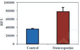 BBI細(xì)胞組學(xué)產(chǎn)品秋冬促銷火熱開啟，放開價勢無需再等